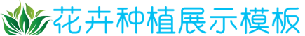 九游体育官方网站